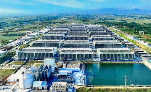 BAF nói về “chung cư nuôi heo” đầu tiên tại Việt Nam: Để tạo ra 100.000 heo/năm chỉ cần 95 nhân công, diện tích đát 6,7ha - tiết kiệm được 10 lần