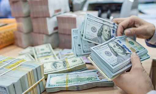 Kho bạc Nhà nước tiếp tục mua vào ngoại tệ