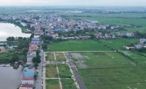 Đấu giá thành công 54 lô đất bị bỏ cọc tại huyện Thanh Oai (Hà Nội)