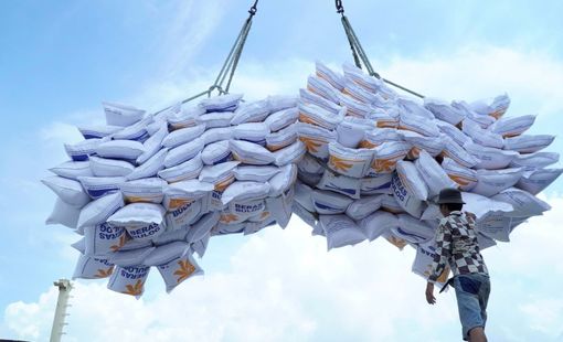 Thu hẹp khoảng cách với gạo Thái Lan và Ấn Độ, giá gạo Việt Nam trên đà phục hồi?