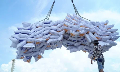 Thu hẹp khoảng cách với gạo Thái Lan và Ấn Độ, giá gạo Việt Nam trên đà phục hồi?