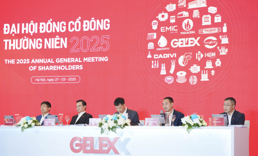 CEO GELEX Nguyễn Văn Tuấn: Đầu tư vào Eximbank không phải phát triển hệ sinh thái, không có nhu cầu tham gia ban điều hành
