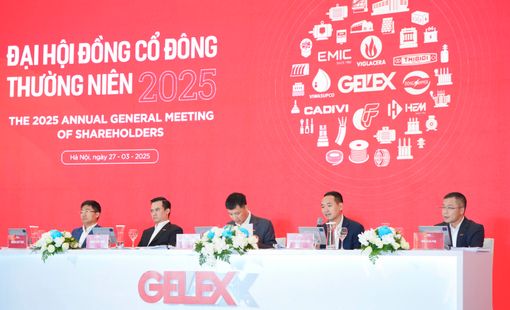 CEO GELEX Nguyễn Văn Tuấn: Đầu tư vào Eximbank không phải phát triển hệ sinh thái, không có nhu cầu tham gia ban điều hành