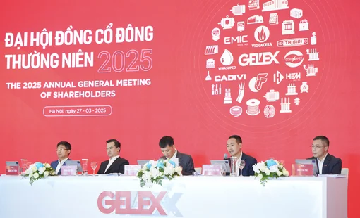 CEO GELEX Nguyễn Văn Tuấn: Đầu tư vào Eximbank không phải phát triển hệ sinh thái, không có nhu cầu tham gia ban điều hành