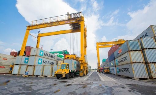 Viconship đặt kế hoạch lợi nhuận năm 2025 "đi lùi" 42%, chia cổ tức tỷ lệ 10%