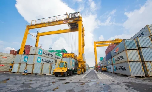 Viconship đặt kế hoạch lợi nhuận năm 2025 "đi lùi" 42%, chia cổ tức tỷ lệ 10%