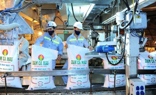 Cơ hội "bứt tốc" cho Đạm Cà Mau trước hàng loạt lực đẩy mới