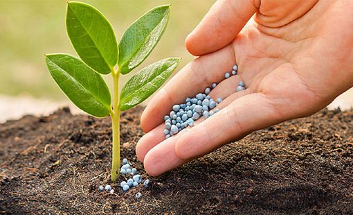 Doanh nghiệp phân bón dè dặt với kế hoạch 2025