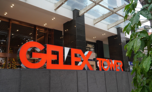 GELEX chốt ngày chi 430 tỷ đồng trả cổ tức bằng tiền mặt
