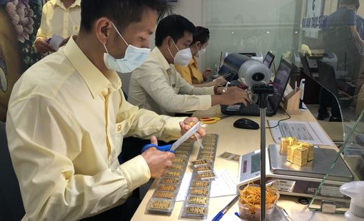 Bất chấp vàng thế giới giảm, vàng SJC vẫn tăng nửa triệu đồng mỗi lượng