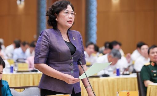 Thống đốc Ngân hàng Nhà nước Việt Nam phản hồi kiến nghị vay ngoại tệ của EVN