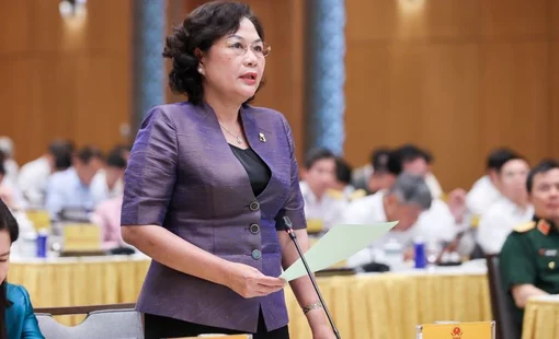 Thống đốc Ngân hàng Nhà nước Việt Nam phản hồi kiến nghị vay ngoại tệ của EVN