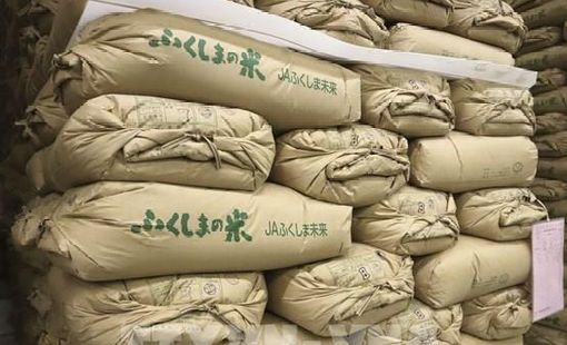 Giá gạo tại Nhật Bản tăng vọt thúc đẩy lạm phát leo thang