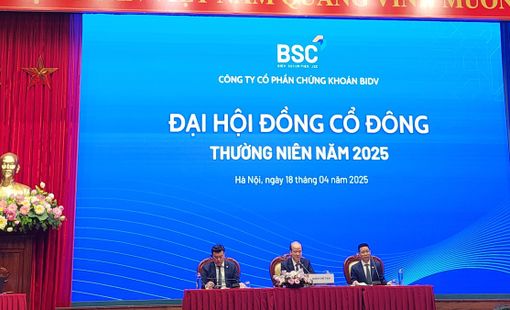 BSC đặt mục tiêu lợi nhuận trước thuế 560 tỷ đồng trong năm 2025