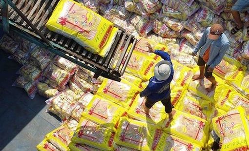 Gạo Việt Nam đạt giá trị xuất khẩu cao nhất trên trường quốc tế: Khẳng định giá trị thương hiệu