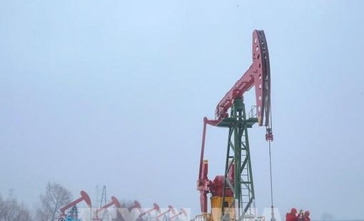 Thị trường dầu chờ tín hiệu từ kế hoạch thuế quan của Mỹ