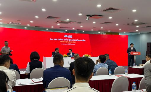 ĐHĐCĐ MSB: Chia cổ tức 20%, đang đàm phán với 2-3 đối tác bán TNEX Finance