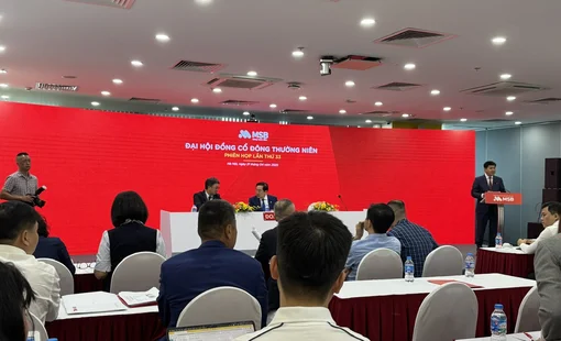 ĐHĐCĐ MSB: Chia cổ tức 20%, đang đàm phán với 2-3 đối tác bán TNEX Finance