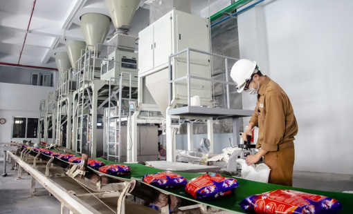 Hóa Chất Đức Giang báo lãi quý I tăng 19%, có hơn 11.000 tỷ đồng gửi ngân hàng