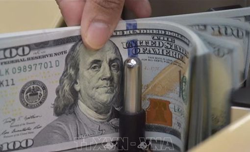 Tuần tăng giá đầu tiên của đồng USD kể từ giữa tháng 3/2025