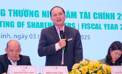 ĐHĐCĐ Rồng Việt: Quý 1/2025 ước thực đạt 15% kế hoạch doanh thu cả năm, Chủ tịch chia sẻ về “cú sốc” thuế quan từ Mỹ