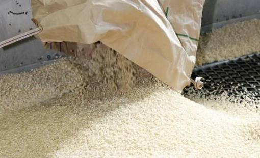 Giá gạo Ấn Độ chạm mức thấp nhất gần hai năm