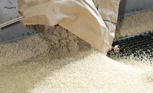Giá gạo Ấn Độ chạm mức thấp nhất gần hai năm