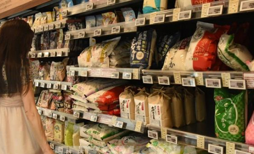 Nhật Bản bắt đầu bán gạo dự trữ