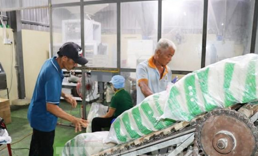 Giá gạo Ấn Độ giảm sâu, Việt Nam và Thái Lan giao dịch trầm lắng