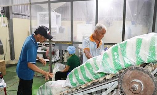Giá gạo Ấn Độ giảm sâu, Việt Nam và Thái Lan giao dịch trầm lắng