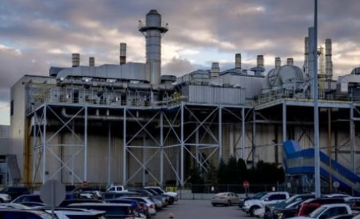 Ford Motor sẽ mất 1,5 tỷ USD vì thuế quan, dòng xe rẻ nhất cũng trở nên đắt đỏ