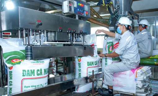 Đạm Cà Mau ước lãi vượt kế hoạch năm chỉ sau 6 tháng, lấn sân sang ngành sữa