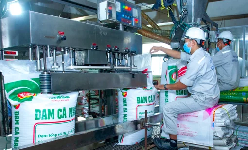Đạm Cà Mau ước lãi vượt kế hoạch năm chỉ sau 6 tháng, lấn sân sang ngành sữa