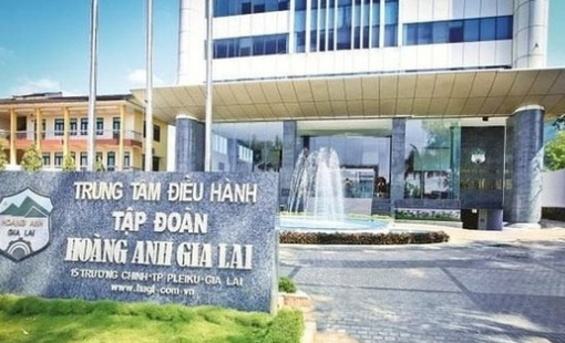 Sau bầu Đức, 2 nữ lãnh đạo HAGL mạnh tay xuống tiền, gom hàng triệu cổ phiếu HAG