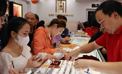 Fed giữ nguyên lãi suất: Giá vàng trong nước đi ngang