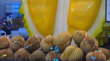 Lô sầu riêng đông lạnh đầu tiên của Việt Nam được xuất khẩu sang Trung Quốc