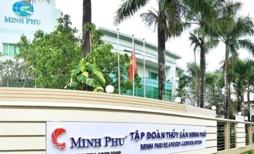 Vua tôm Minh Phú "hì hục" bán lỗ để giải quyết 20.000 tấn hàng tồn kho từ Covid