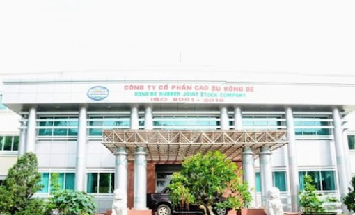 Cao su Sông Bé (SBR) bị phạt nặng vì “hô biến” kết quả kinh doanh từ lỗ thành lãi