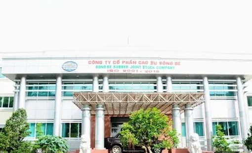 Cao su Sông Bé (SBR) bị phạt nặng vì “hô biến” kết quả kinh doanh từ lỗ thành lãi
