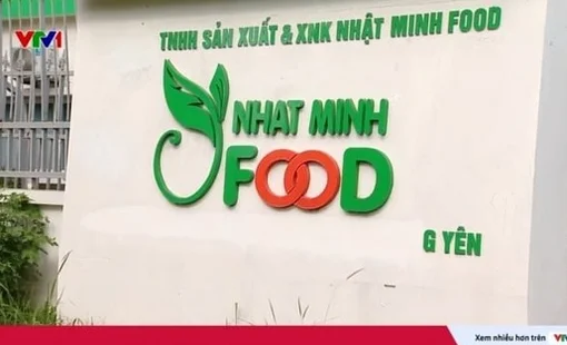Triệt phá đường dây sản xuất dầu ăn giả cho người từ thức ăn chăn nuôi: 3 năm thu về 8.200 tỷ đồng