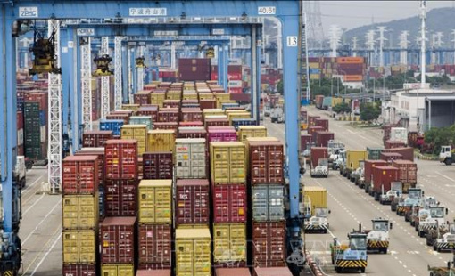 Giá cước vận tải biển Trung-Mỹ giảm hơn 50%