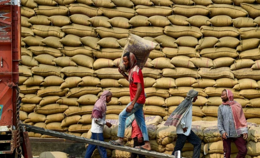 Thị Trường Nông Sản: Gạo Ấn Độ Tăng Giá Giữa Bối Cảnh Nguồn Cung Dồi Dào