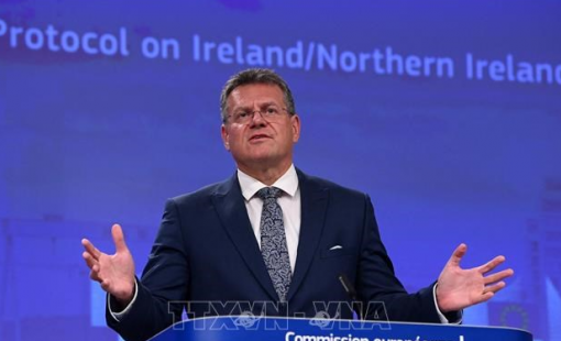 EU nỗ lực thuyết phục Mỹ thay đổi chính sách thuế quan trong tuần này