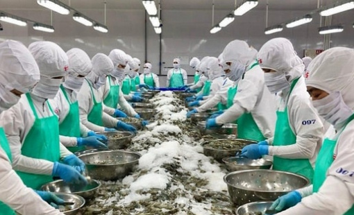 Xuất khẩu thủy sản tăng trưởng mạnh thu về hơn 4 tỷ USD trong 5 tháng