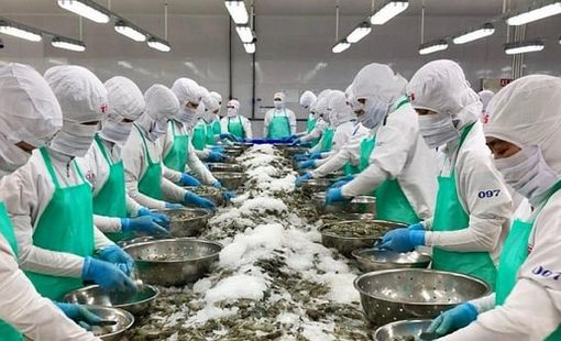 Xuất khẩu thủy sản tăng trưởng mạnh thu về hơn 4 tỷ USD trong 5 tháng