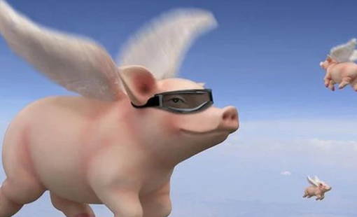 Cổ phiếu các đại gia chăn nuôi heo bốc đầu, DBC “cháy hàng” sau vụ C.P bị tố bán heo bệnh