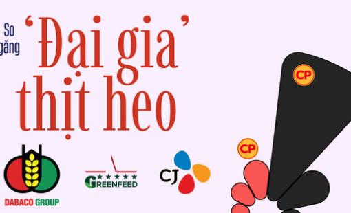 350.000 con heo nái đưa C.P. Việt Nam thống trị ngành heo, ‘đại gia’ Việt phất cờ chiếm lại thị trường?