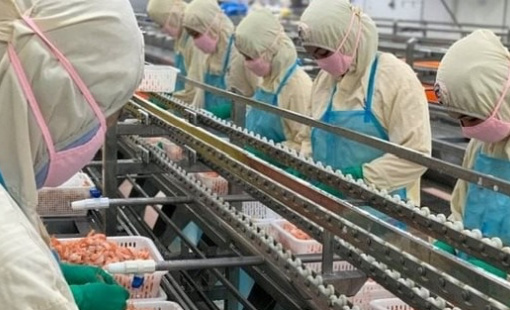 Doanh nghiệp xuất khẩu tôm lớn nhất nhì Việt Nam bị áp thuế cao bất thường tới 35,29% từ Mỹ