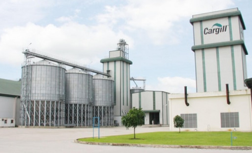 'Ông lớn' nông nghiệp Mỹ có doanh thu gấp 18 lần SpaceX rút khỏi mảng thức ăn thủy sản ở Việt Nam dù từng kiếm nghìn tỷ lợi nhuận