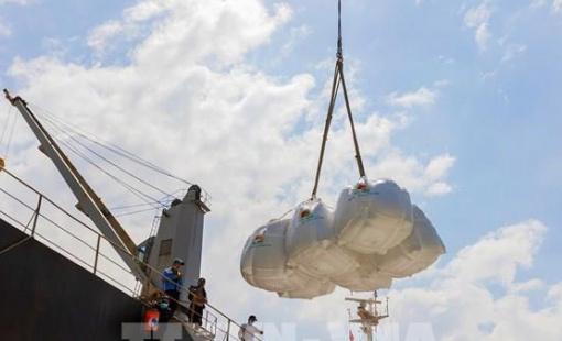 Thị trường nông sản: Giá gạo Việt Nam ổn định